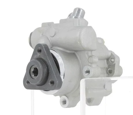 Hydraulic Pump, steering (131195)