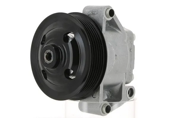Hydraulic Pump, steering (135101)