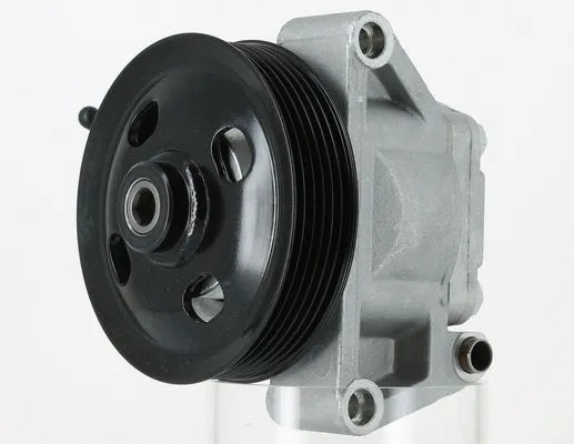 Hydraulic Pump, steering (135212)