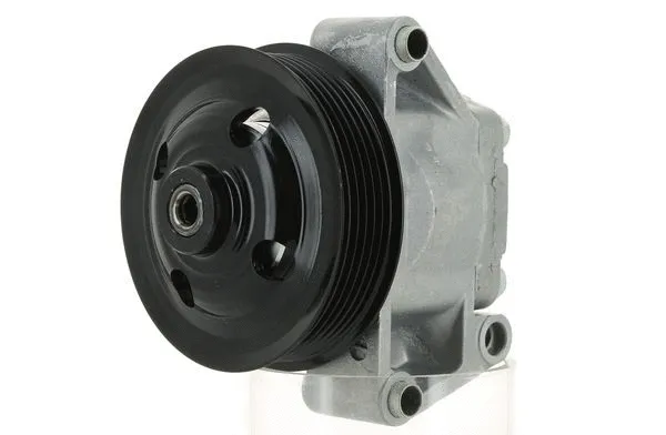 Hydraulic Pump, steering (135214)