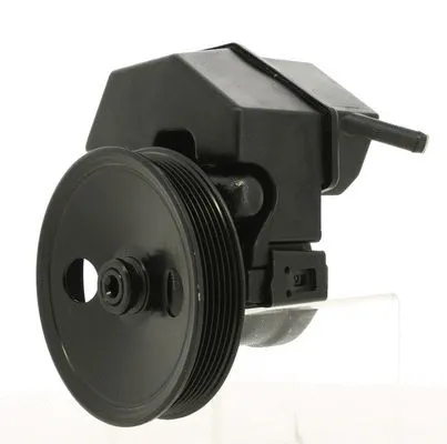 Hydraulic Pump, steering (130725)