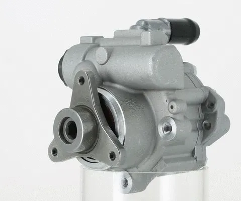 Hydraulic Pump, steering (131263)
