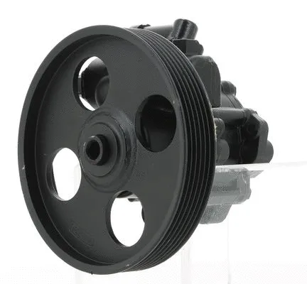 Hydraulic Pump, steering (130336)
