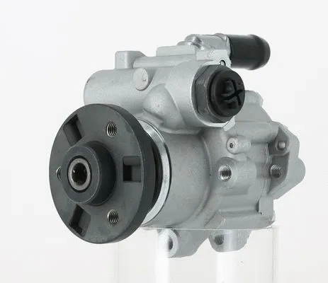 Hydraulic Pump, steering (135099)