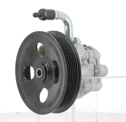 Hydraulic Pump, steering (135305)