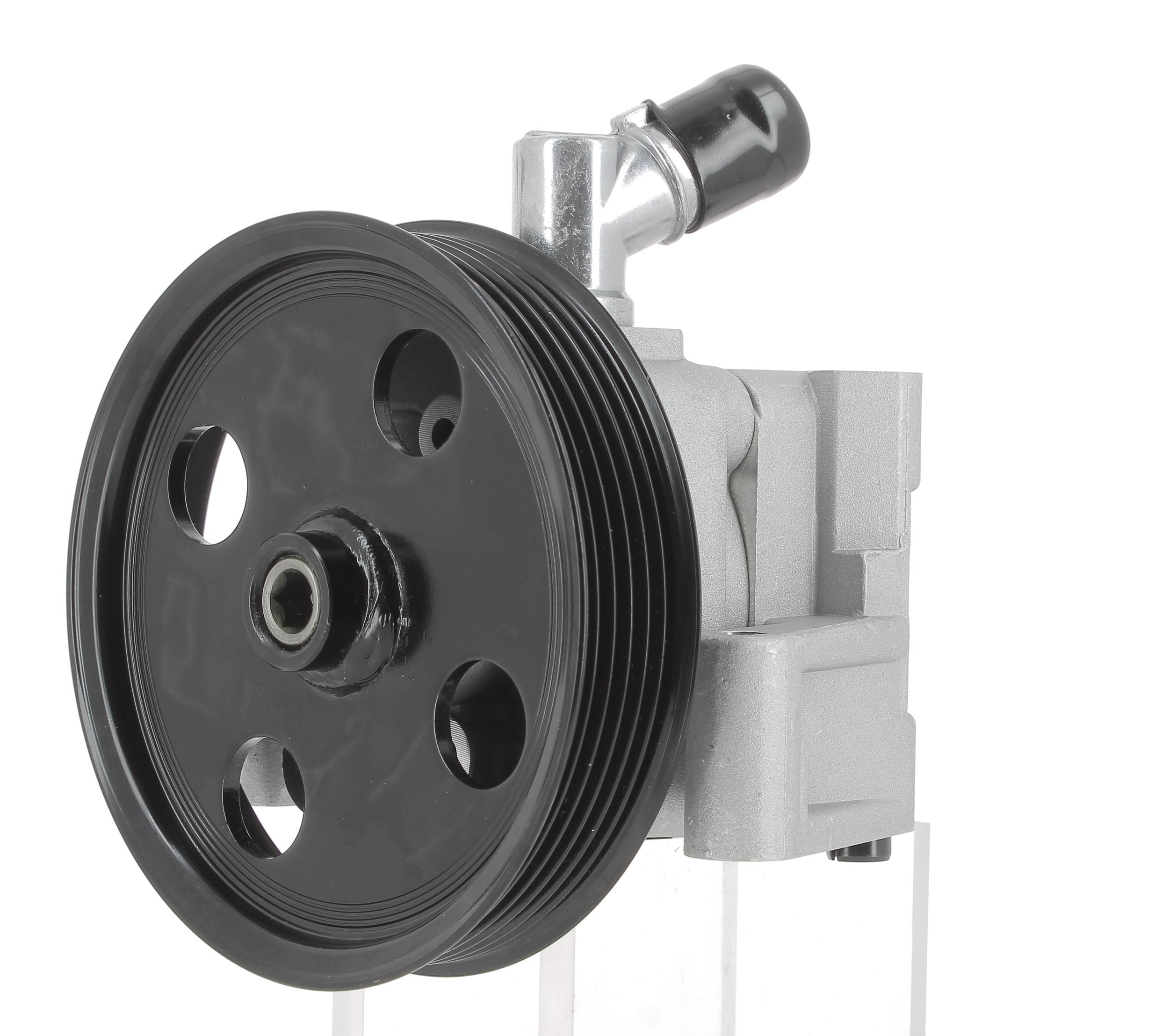 Hydraulic Pump, steering (130062)