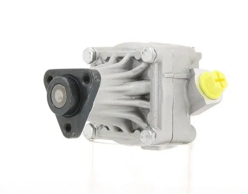 Hydraulic Pump, steering (130623)