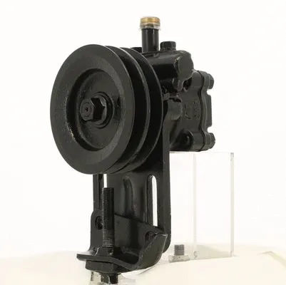 Hydraulic Pump, steering (130925)