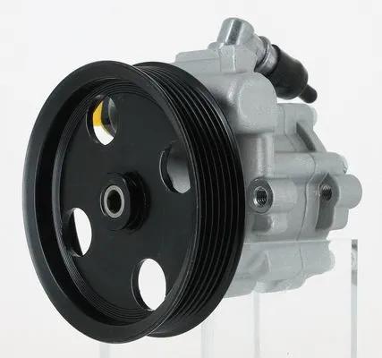 Hydraulic Pump, steering (135081)