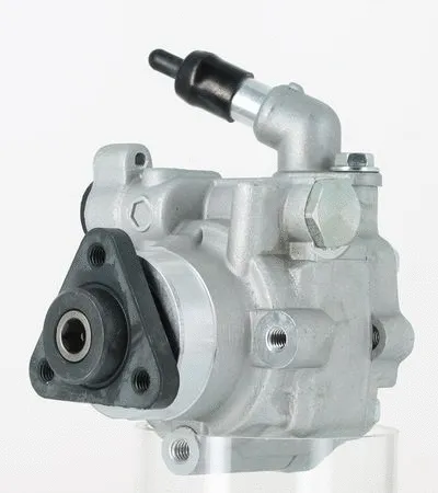 Hydraulic Pump, steering (135469)