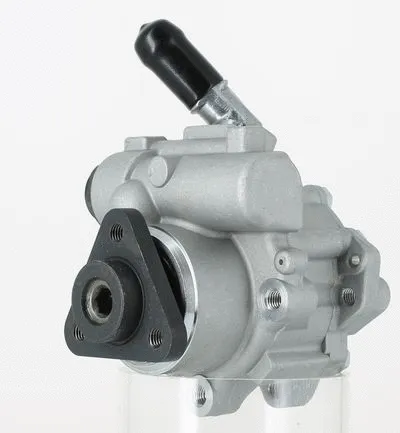 Hydraulic Pump, steering (135096)