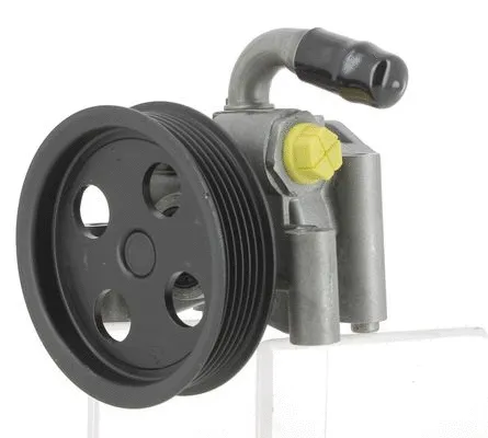 Hydraulic Pump, steering (135112)