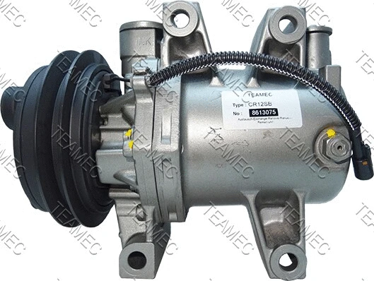 Compressor, air conditioning (8613075)