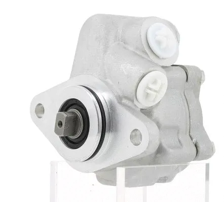 Hydraulic Pump, steering (130091)