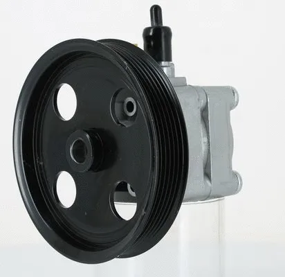 Hydraulic Pump, steering (131335)