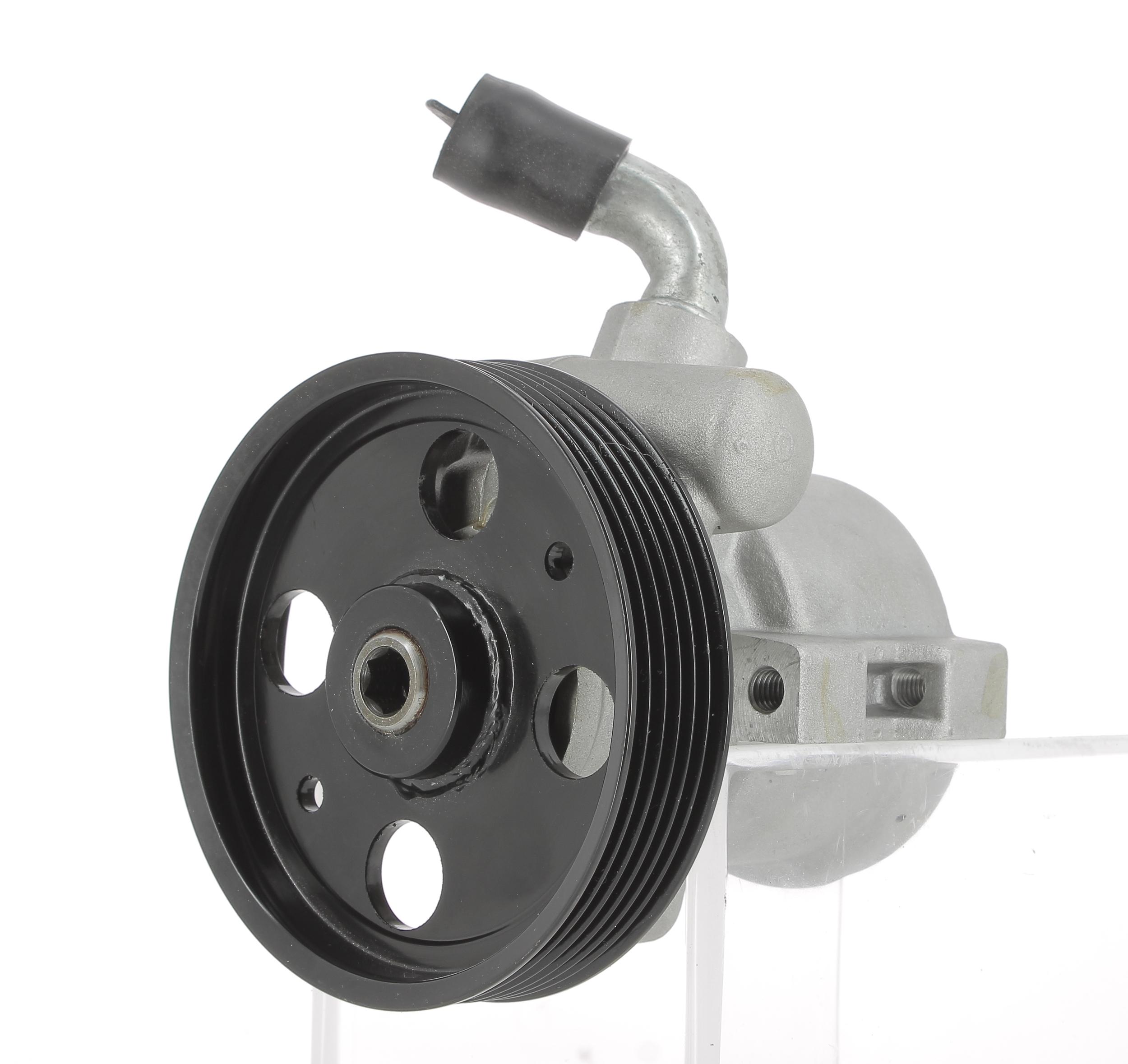 Hydraulic Pump, steering (130394)