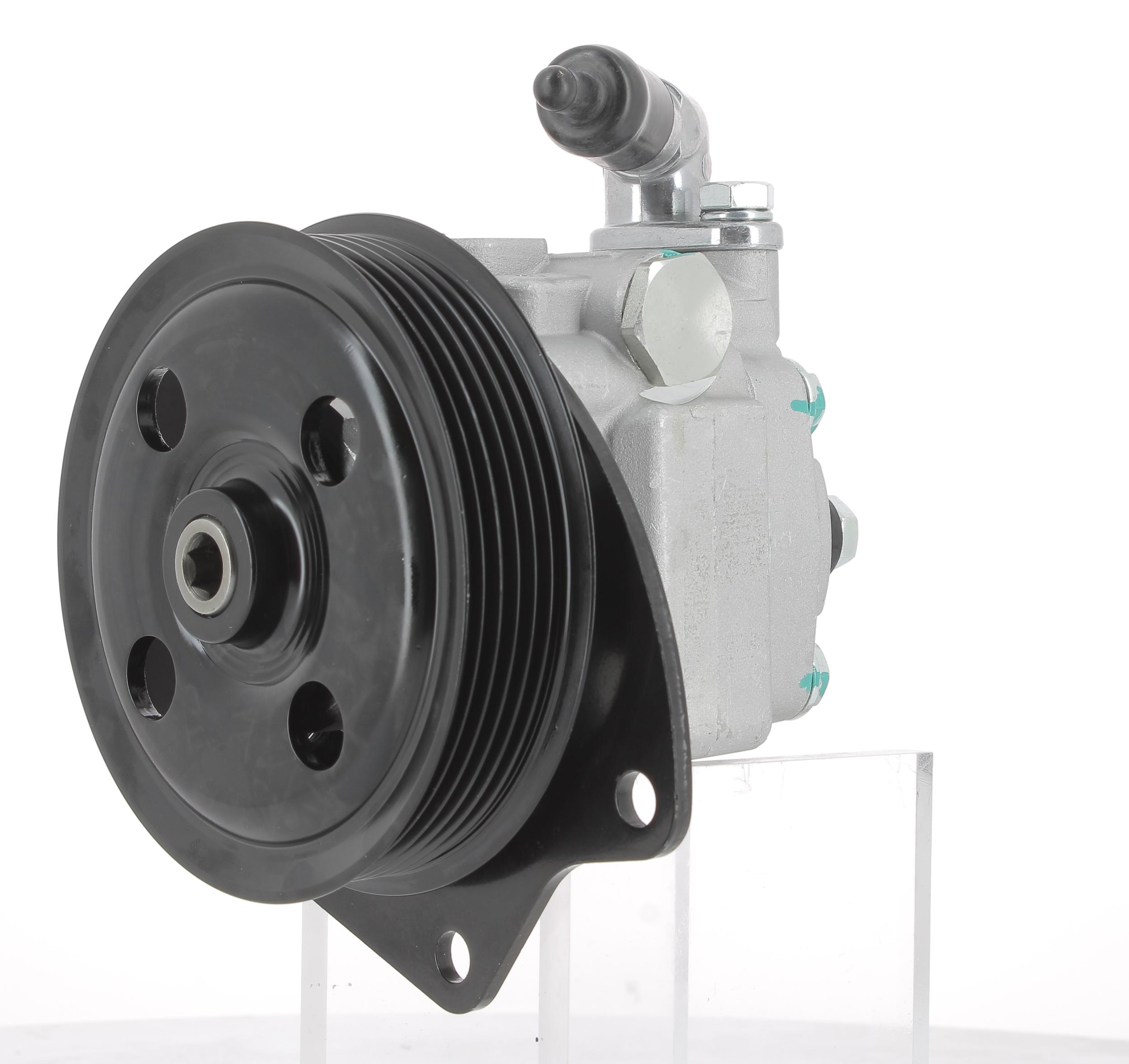 Hydraulic Pump, steering (131623)