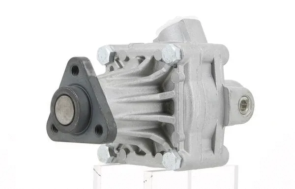 Hydraulic Pump, steering (130614)