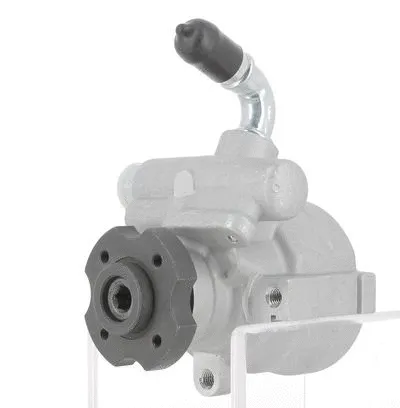 Hydraulic Pump, steering (130334)