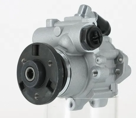 Hydraulic Pump, steering (135236)
