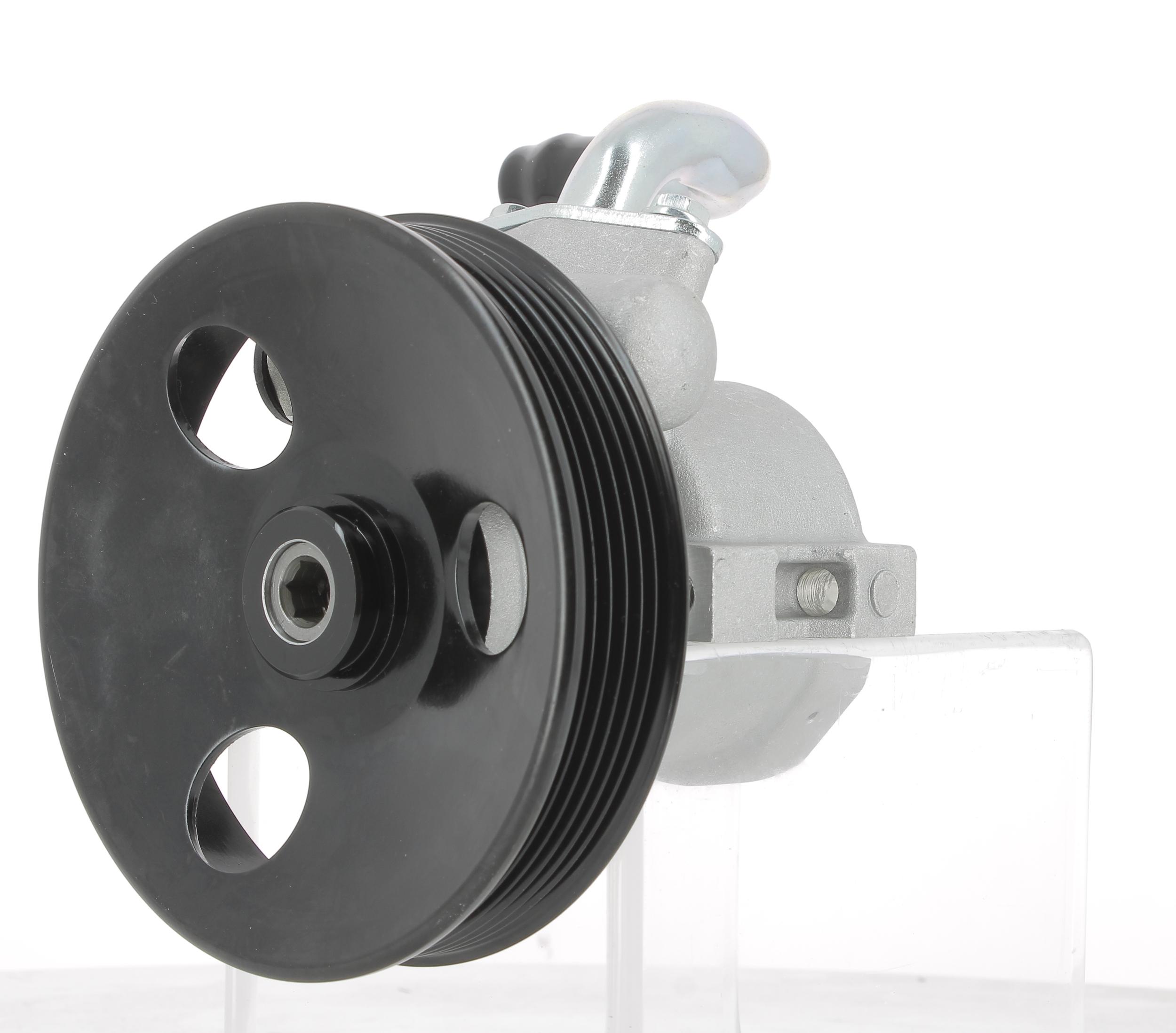 Hydraulic Pump, steering (135169)