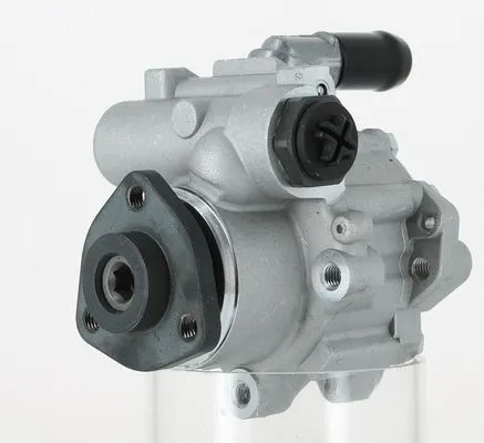 Hydraulic Pump, steering (131010)