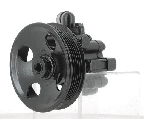 Hydraulic Pump, steering (135491)