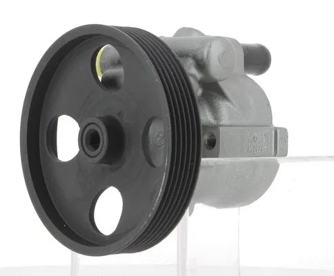 Hydraulic Pump, steering (130728)