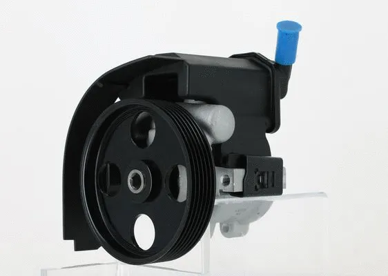 Hydraulic Pump, steering (130378)