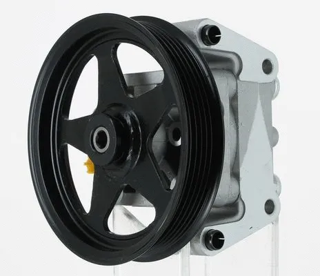 Hydraulic Pump, steering (131569)