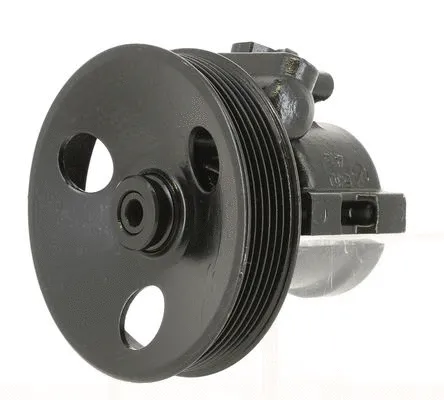 Hydraulic Pump, steering (135041)