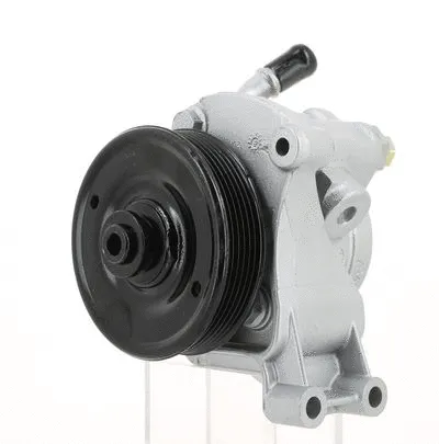 Hydraulic Pump, steering (130726)