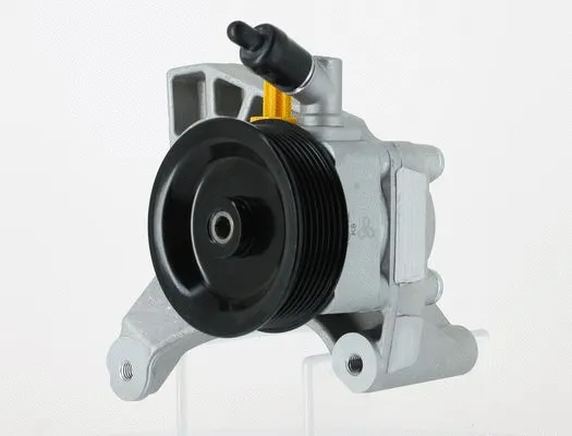 Hydraulic Pump, steering (135332)