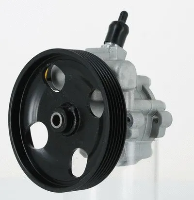 Hydraulic Pump, steering (135156)