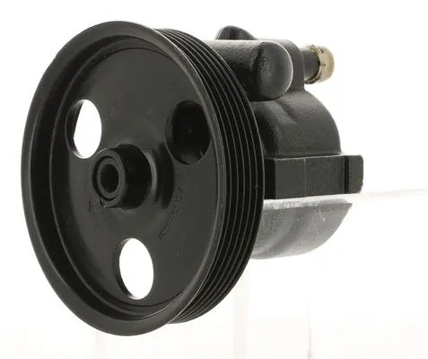 Hydraulic Pump, steering (131225)