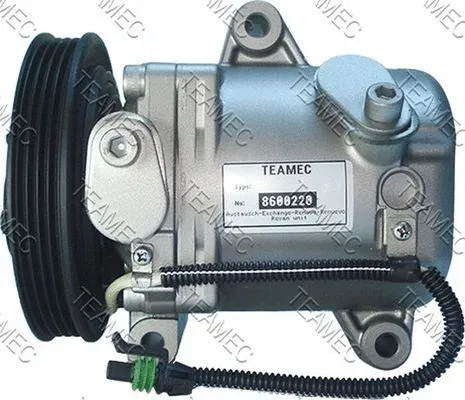Compressor, air conditioning (8600220)