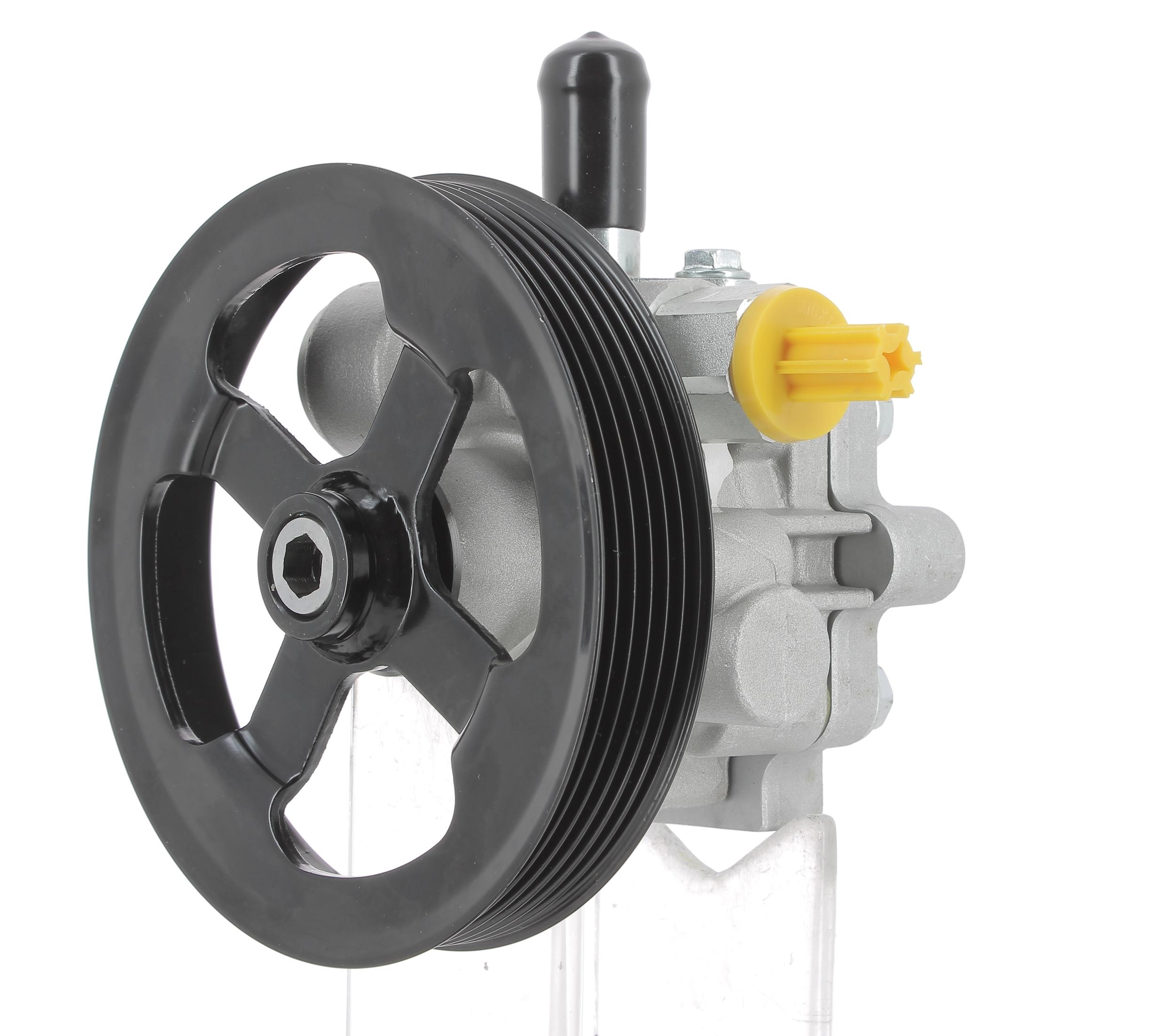 Hydraulic Pump, steering (135315)