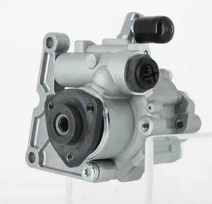 Hydraulic Pump, steering (135213)