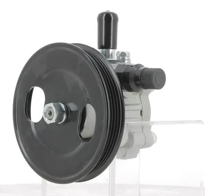 Hydraulic Pump, steering (135115)