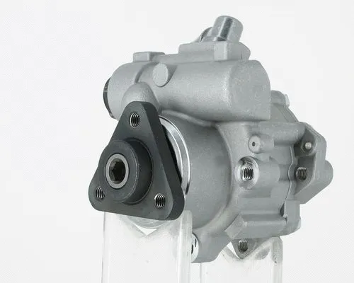 Hydraulic Pump, steering (135436)