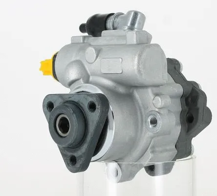 Hydraulic Pump, steering (135087)