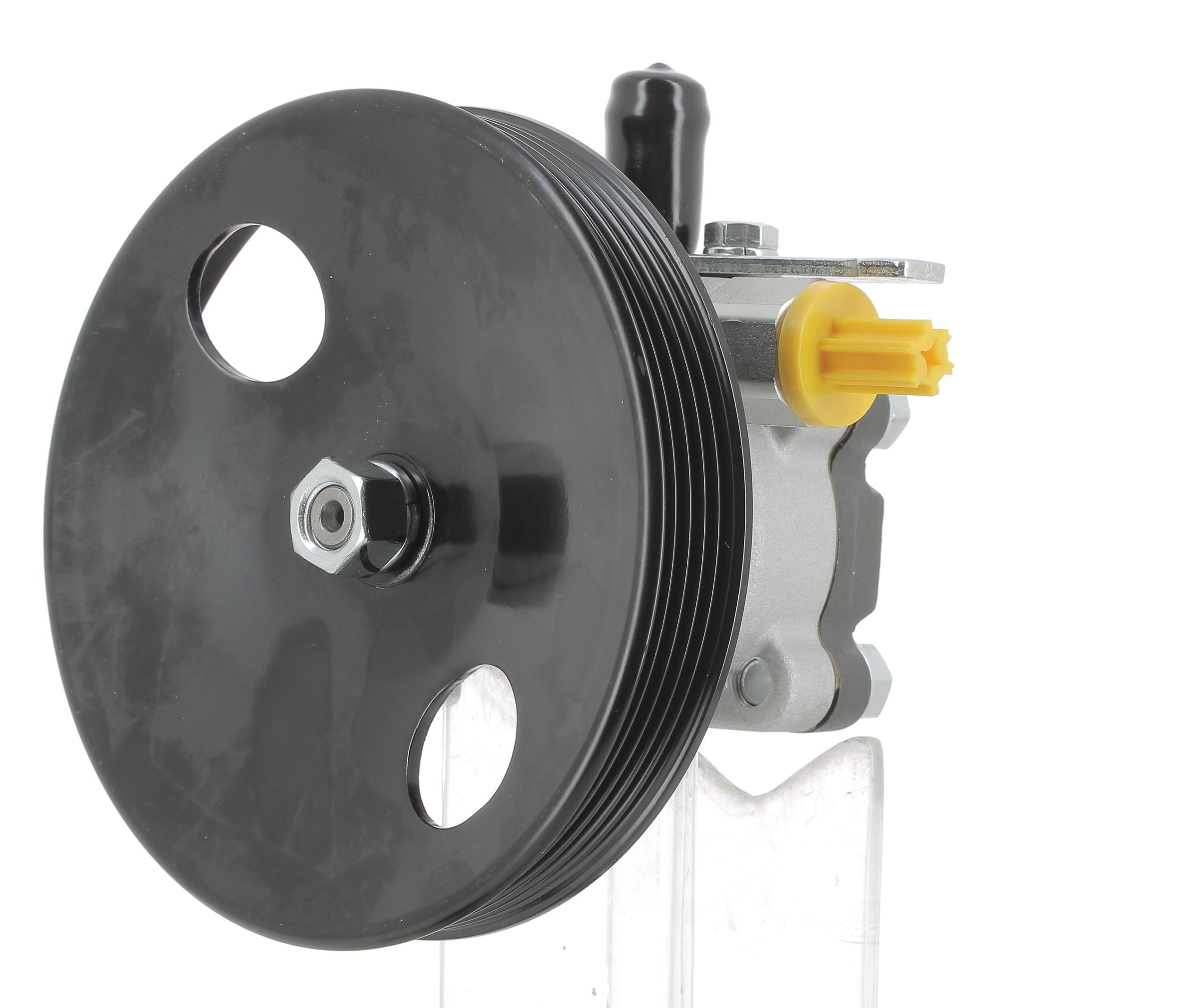 Hydraulic Pump, steering (135455)