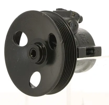 Hydraulic Pump, steering (131213)