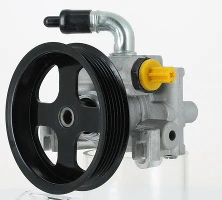 Hydraulic Pump, steering (131305)
