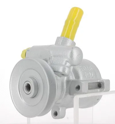 Hydraulic Pump, steering (130376)