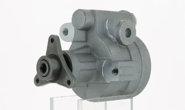 Hydraulic Pump, steering (131217)