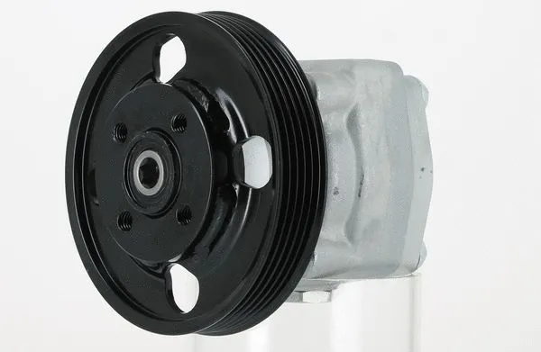 Hydraulic Pump, steering (135195)