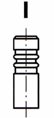 Intake Valve (V0033340)