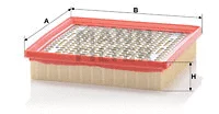 Air Filter (C 2055)
