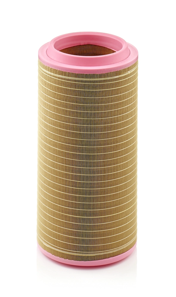 Air Filter (C 30 810/2)